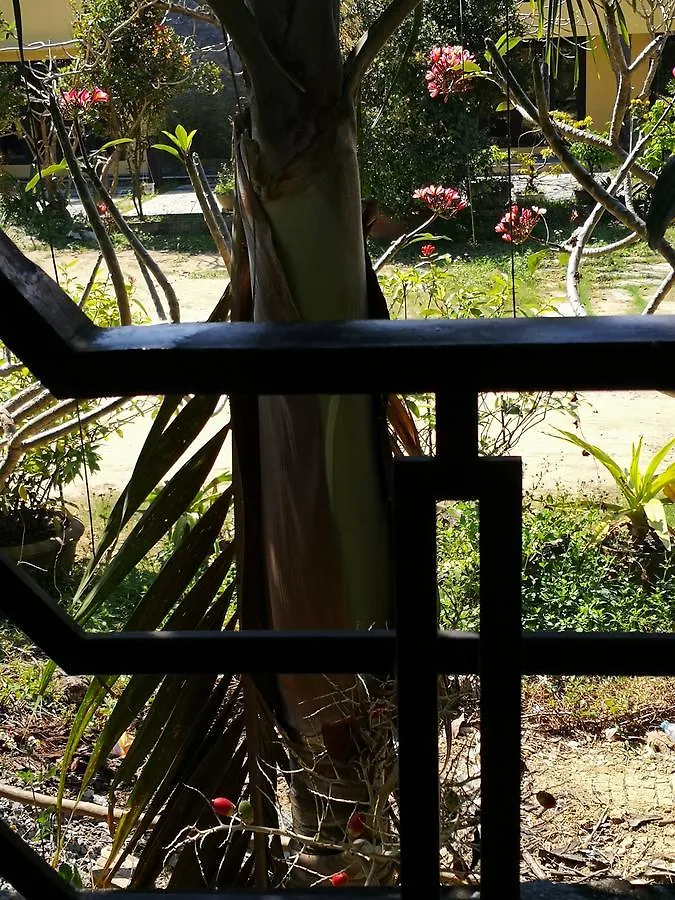 Cam Nam Homestay Hoi An