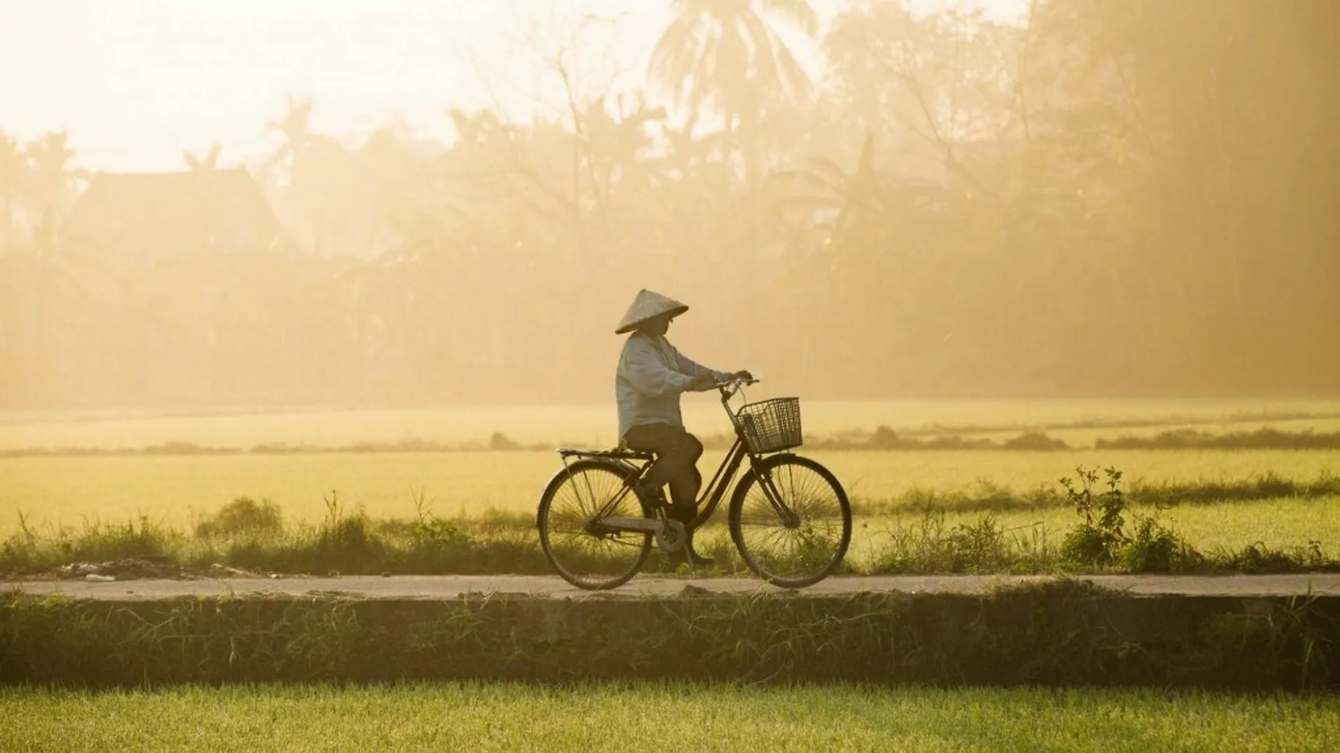 Cam Nam Homestay Hoi An